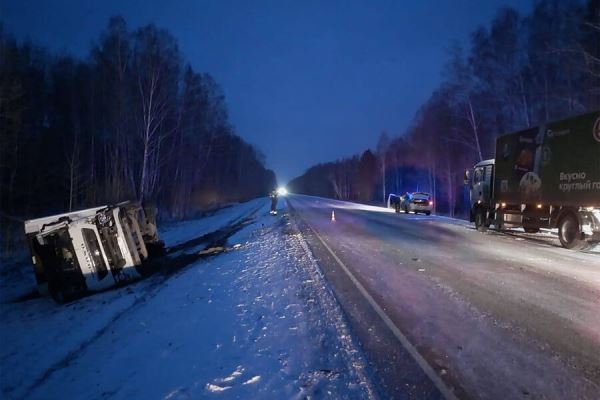 В Новосибирской области в ДТП с маршруткой и грузовиком пострадали 9 человек